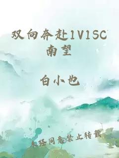 双向奔赴1V1SC南望