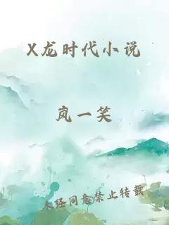 X龙时代小说