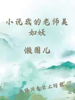 小说我的老师美如妖