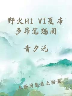 野火H1 V1夏布多昂笔趣阁