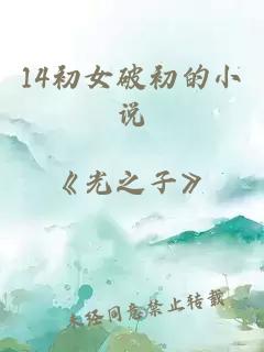 14初女破初的小说