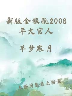 新版金银瓶2008年大官人