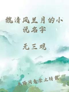 魏清风兰月的小说名字