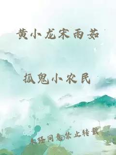 黄小龙宋雨茹