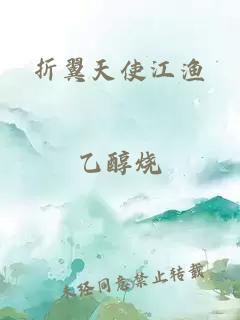 折翼天使江渔