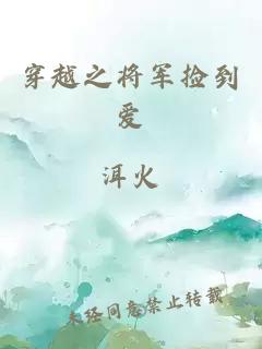 穿越之将军捡到爱