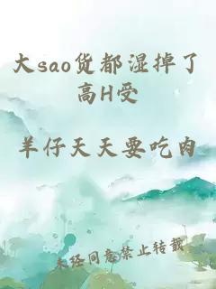 大sao货都湿掉了高H受