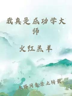 我真是成功学大师