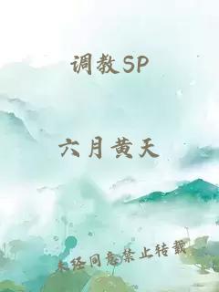 调教SP