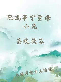 阮流筝宁至谦 小说