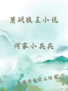 萧战狼王小说