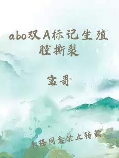 abo双A标记生殖腔撕裂