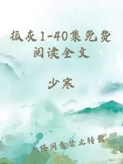 抓灰1-40集免费阅读全文