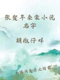 张贺年秦棠小说名字