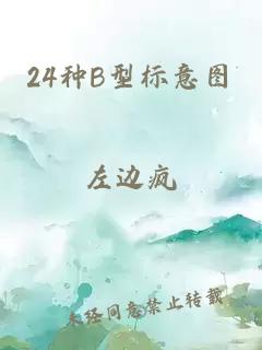 24种B型标意图