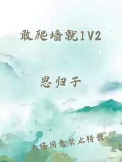 敢爬墙就1V2