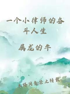 一个小律师的奋斗人生