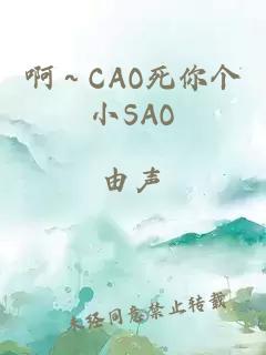 啊～CAO死你个小SAO