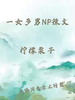 一女多男NP辣文