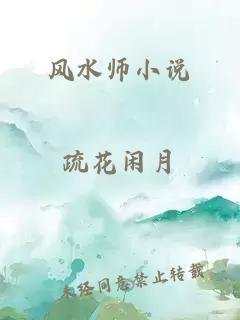 风水师小说