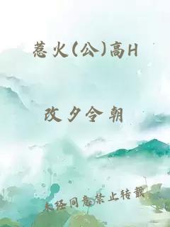 惹火(公)高H