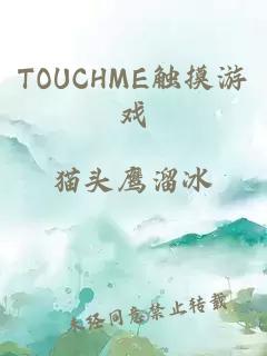 TOUCHME触摸游戏