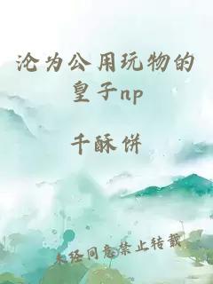 沦为公用玩物的皇子np