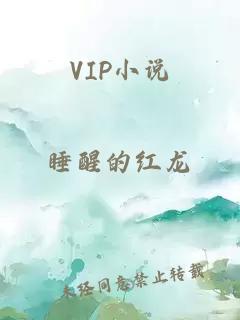 VIP小说