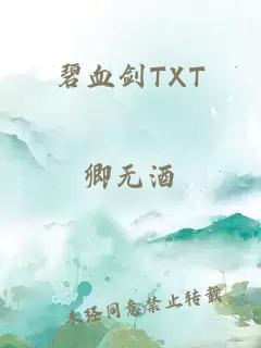 碧血剑TXT