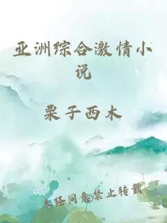 亚洲综合激情小说