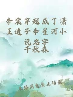 李震穿越成了潇王遗子李星河小说名字