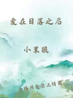 爱在日落之后