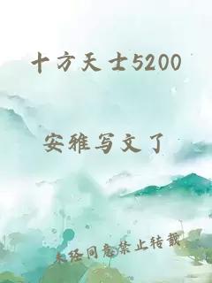 十方天士5200