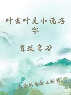 叶玄叶灵小说名字