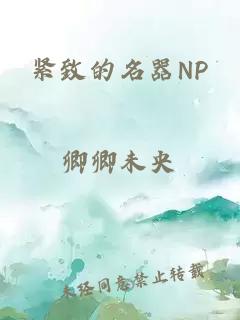 紧致的名器NP