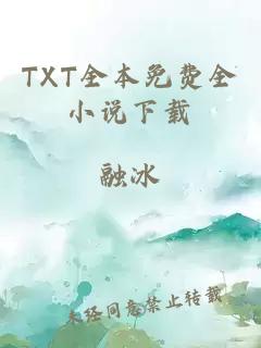 TXT全本免费全小说下载