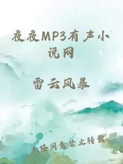 夜夜MP3有声小说网