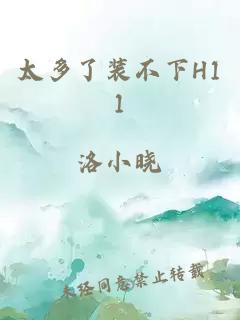 太多了装不下H11