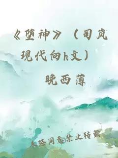 《堕神》（司岚现代向h文）