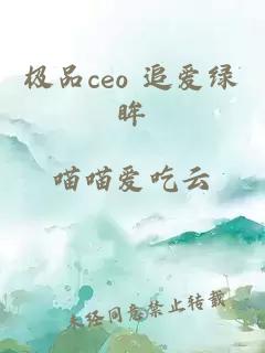 极品ceo 追爱绿眸