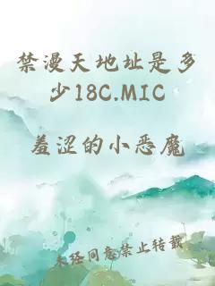 禁漫天地址是多少18C.MIC