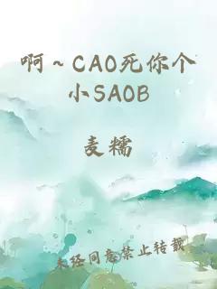 啊～CAO死你个小SAOB