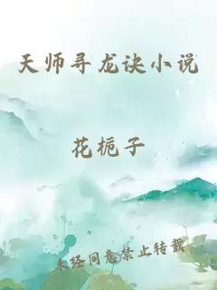 天师寻龙诀小说