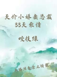 天价小娇妻总裁33天索情