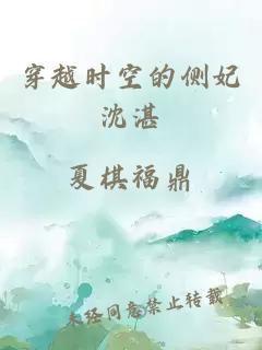 穿越时空的侧妃沈湛