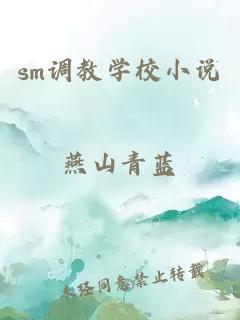 sm调教学校小说