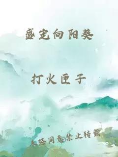 盛宠向阳葵