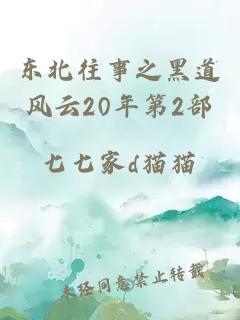 东北往事之黑道风云20年第2部