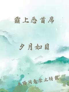 霸上恶首席