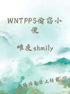 WNTPPS偷窃小便